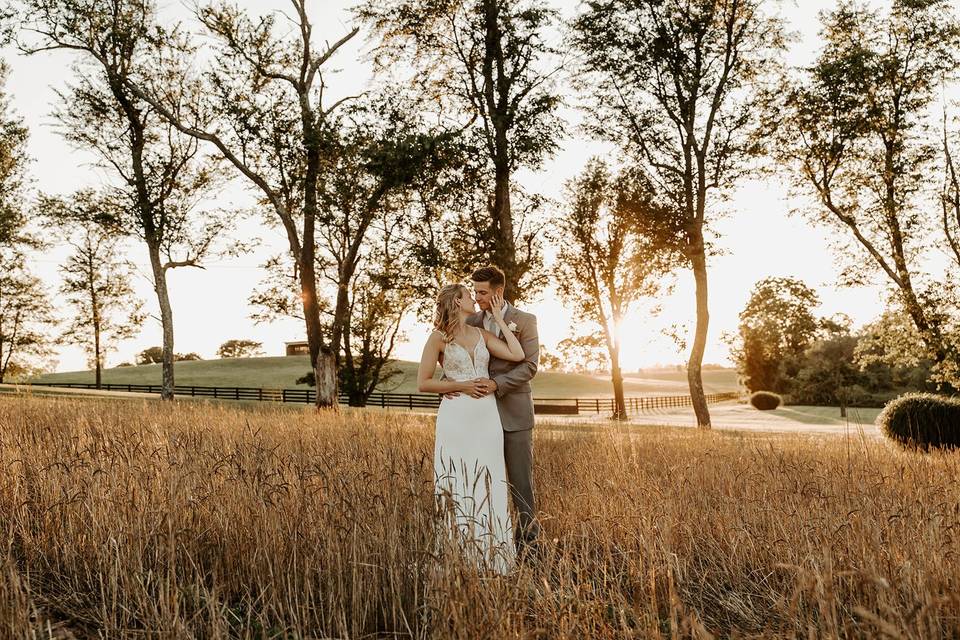 Golden hour in the field