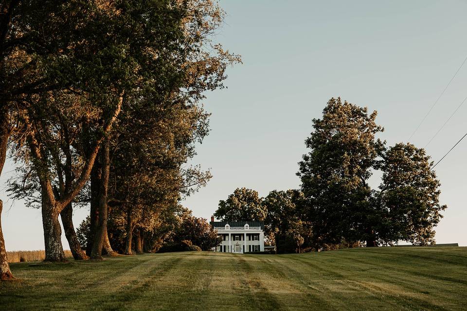 View of the house