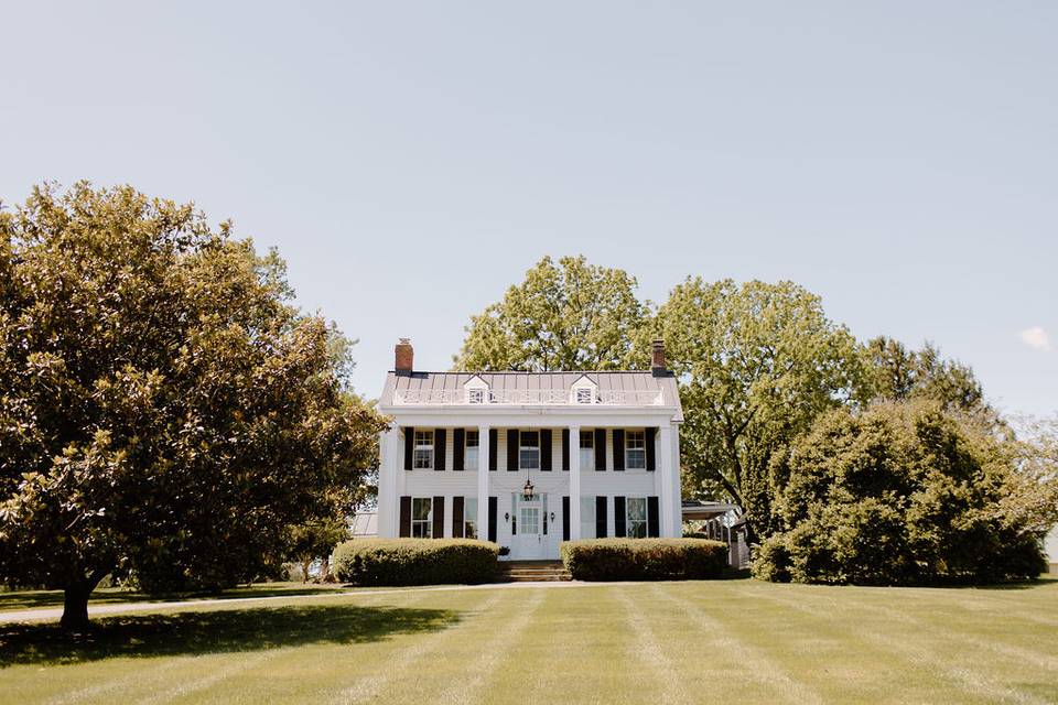 The house