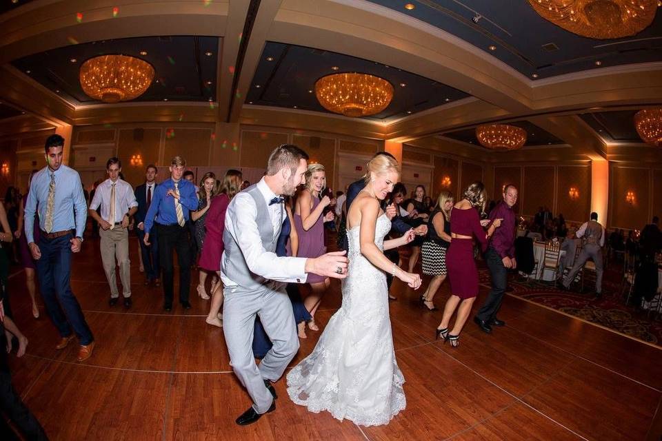 Michigan Wedding DJ Service