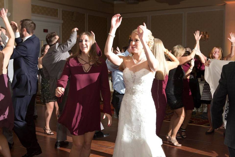 Michigan Wedding DJ Service