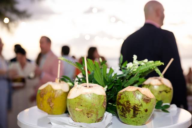 Cocktail Reception
