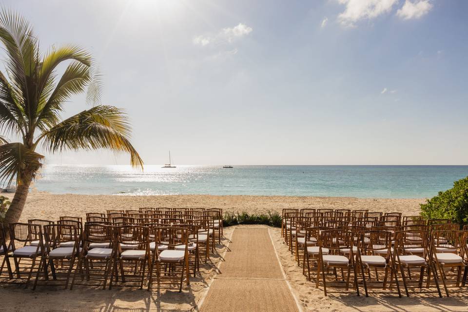 Elegant Lawn Reception