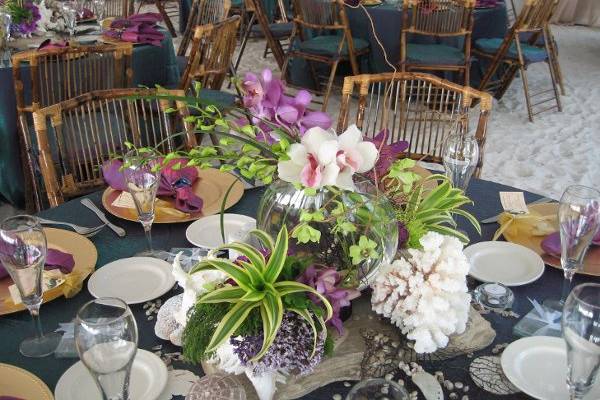 Dana Dineen Floral Design