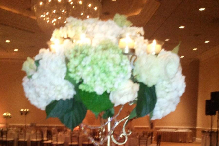 Dana Dineen Floral Design