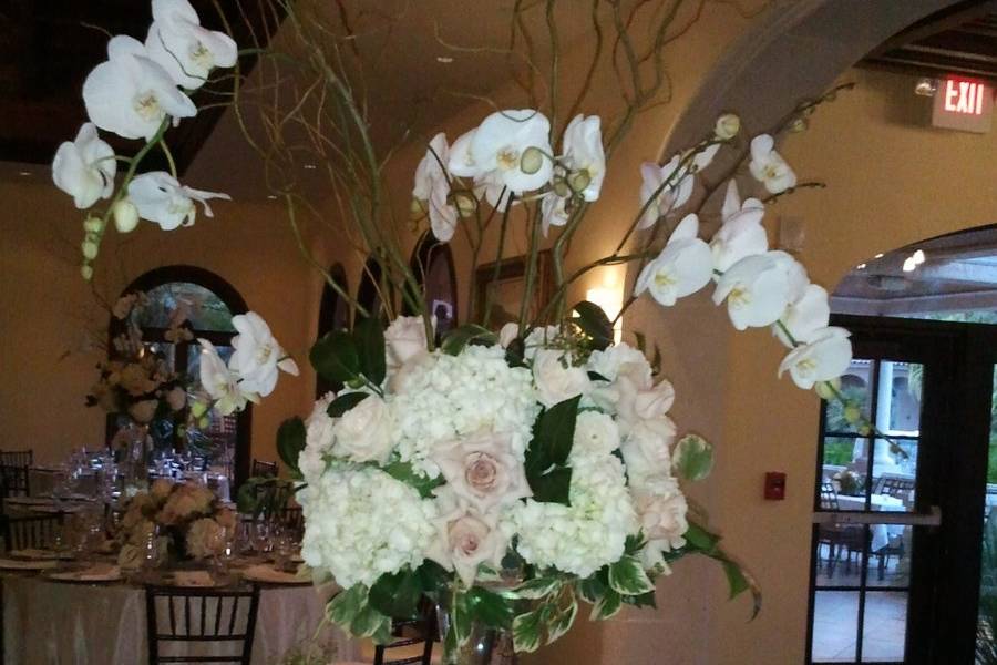 Dana Dineen Floral Design