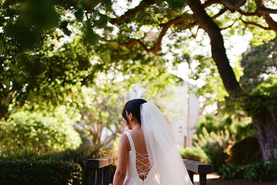 Dress on film