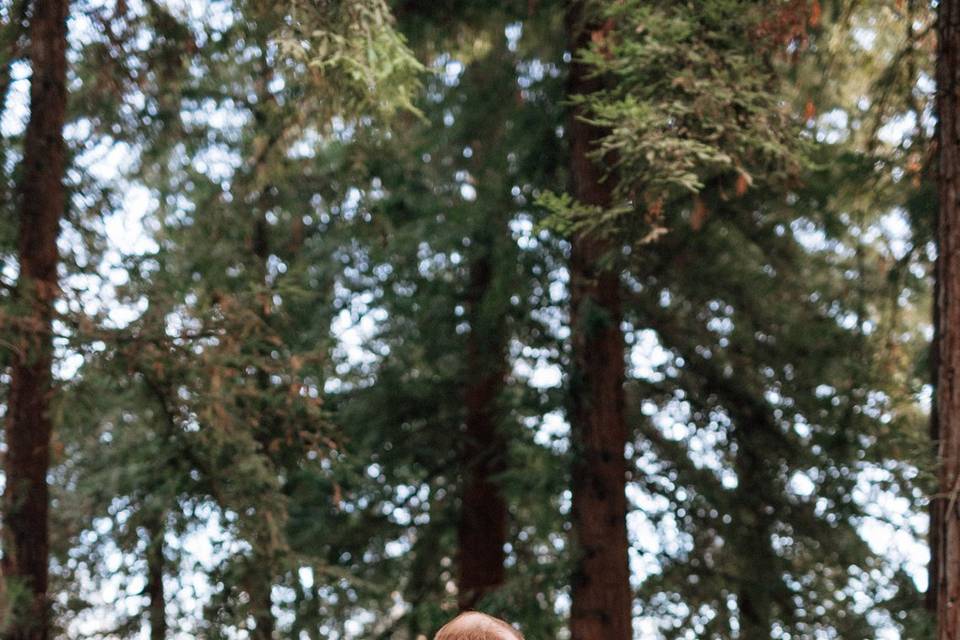 Redwood Engagement