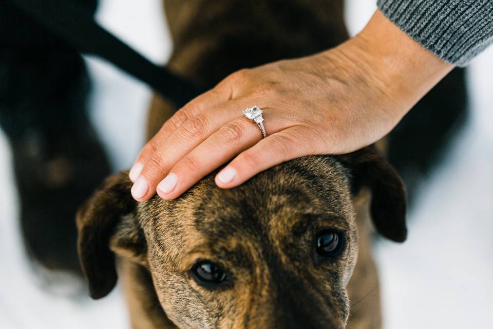 Ring with dog-GEM Photography