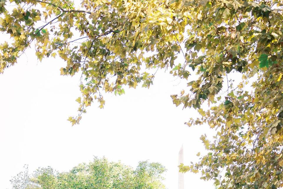 Crisp White Wedding at DAR