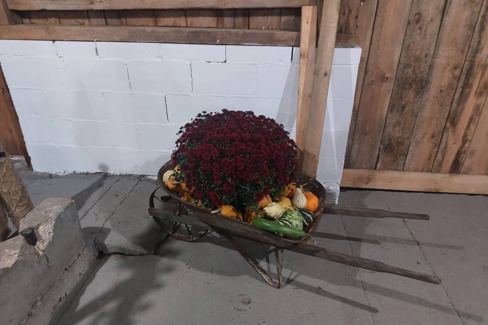 Wheelbarrow decor