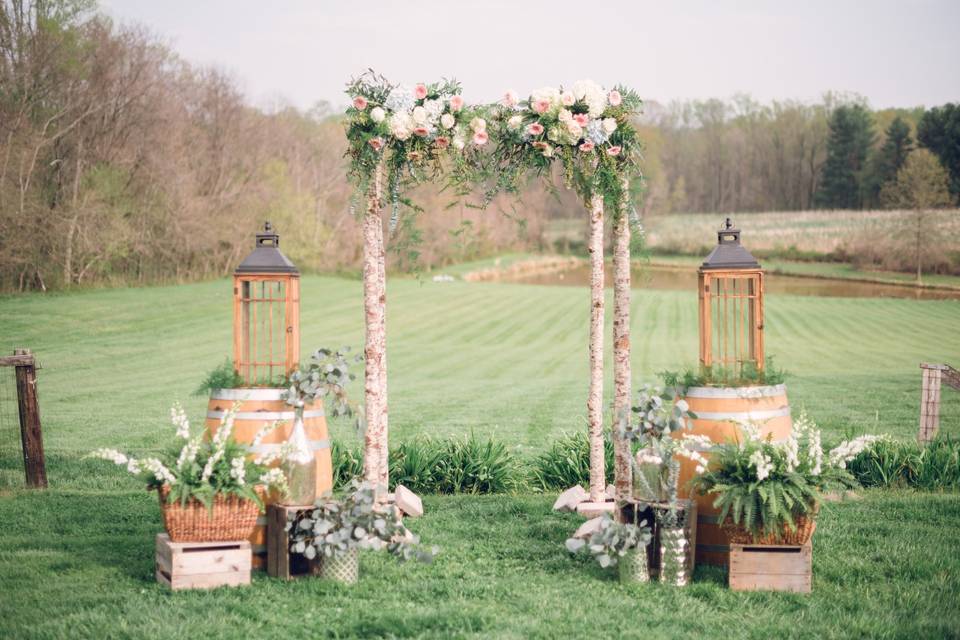 Our birch arbor makes a beautiful boho ceremony backdrop.