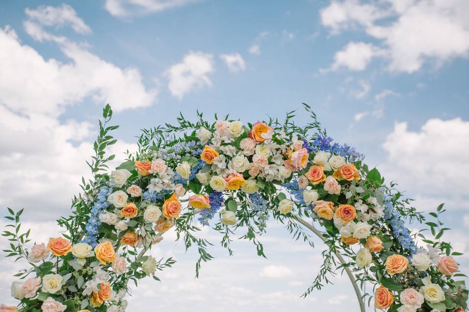 A lush arbor with blue skies as far as the eye can see.