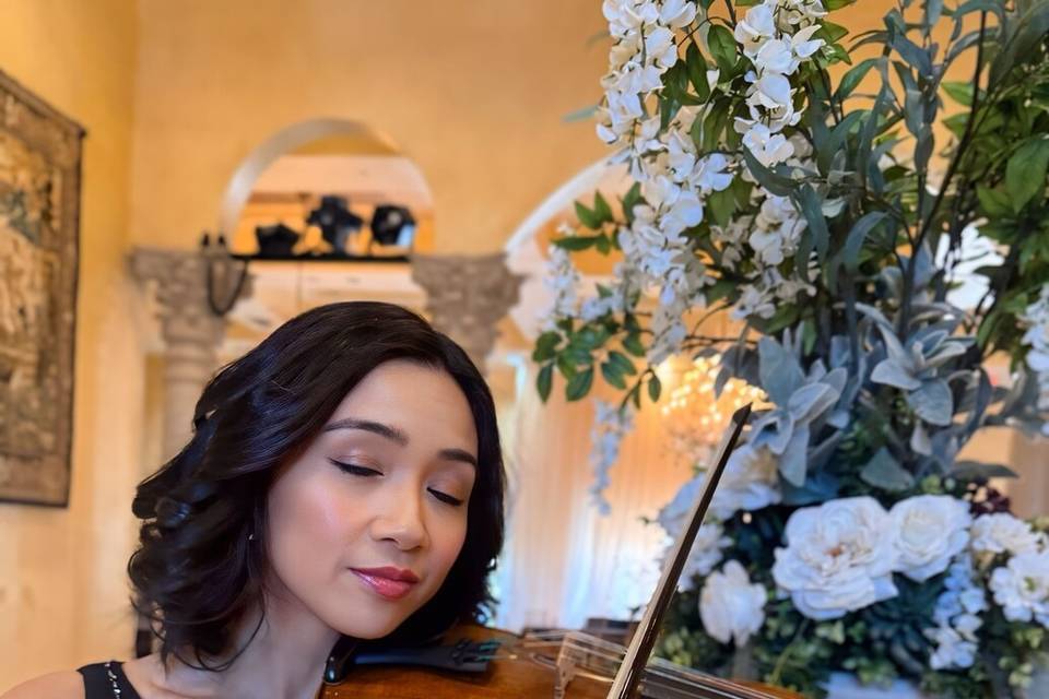 Decorative Violin