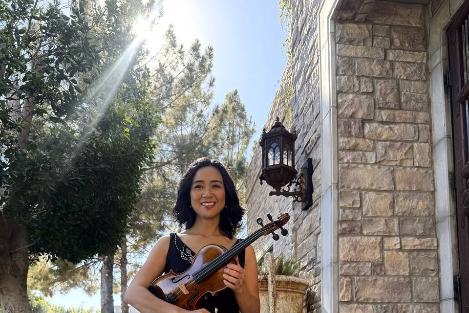 Decorative Violin
