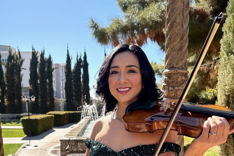 Decorative Violin Phx