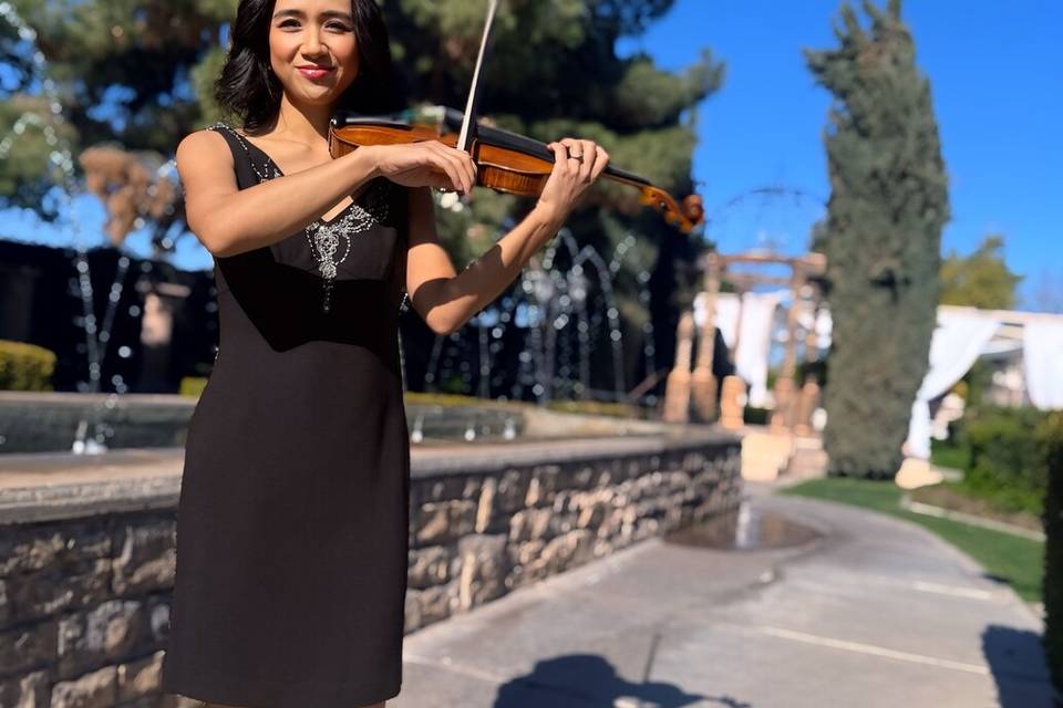 Decorative Violin