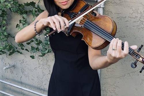 Decorative Violin Phx