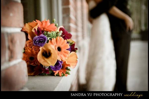 Sandra Yu Photography