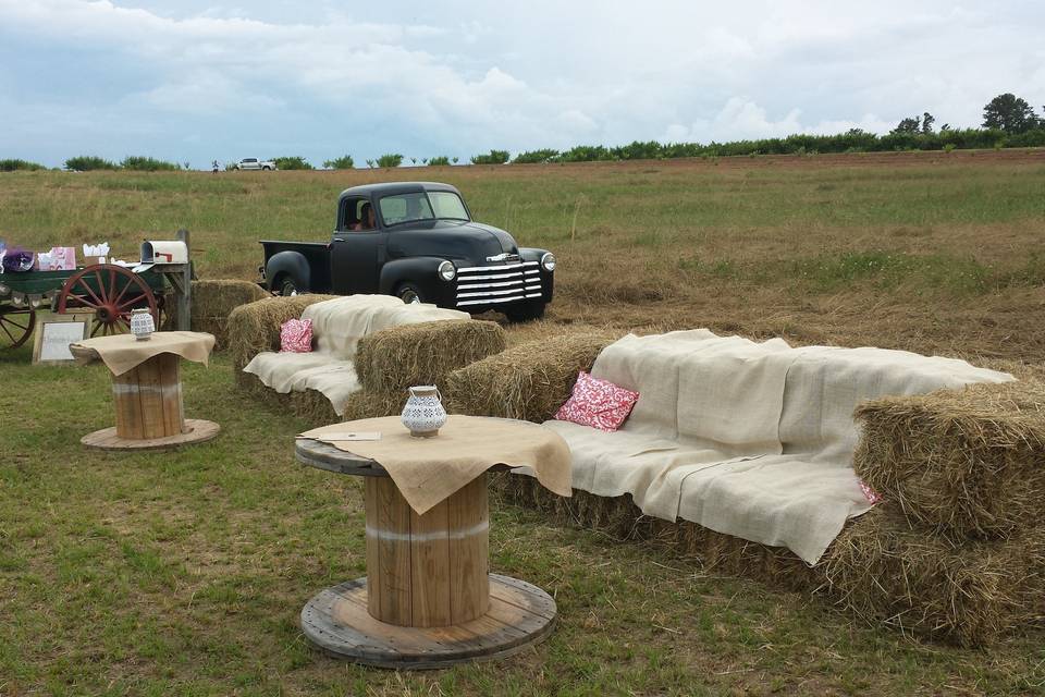 Peach Orchard Outside Wedding & Reception