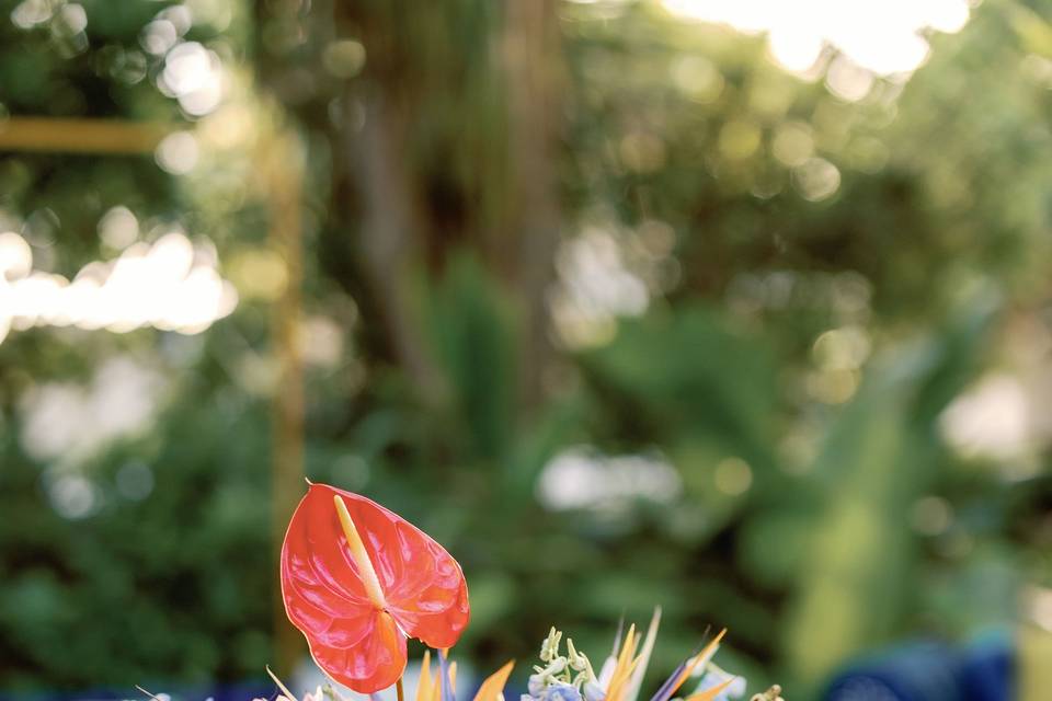 Hemingway Home Garden Wedding