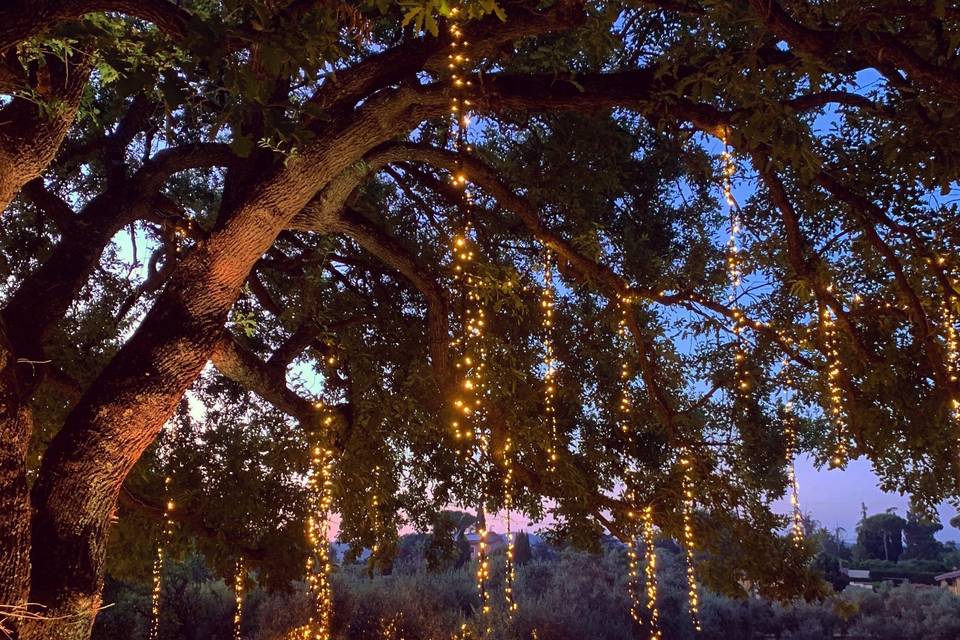 Fairy light magic