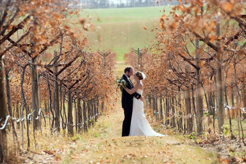 A moment shared between two rows of vines on a crisp fall day | Photo taken at Box Elder Vineyard.