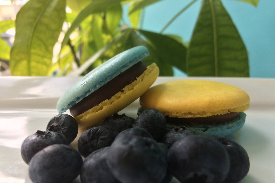 Blueberry Macarons