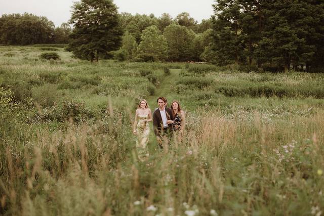Guests in the meadow