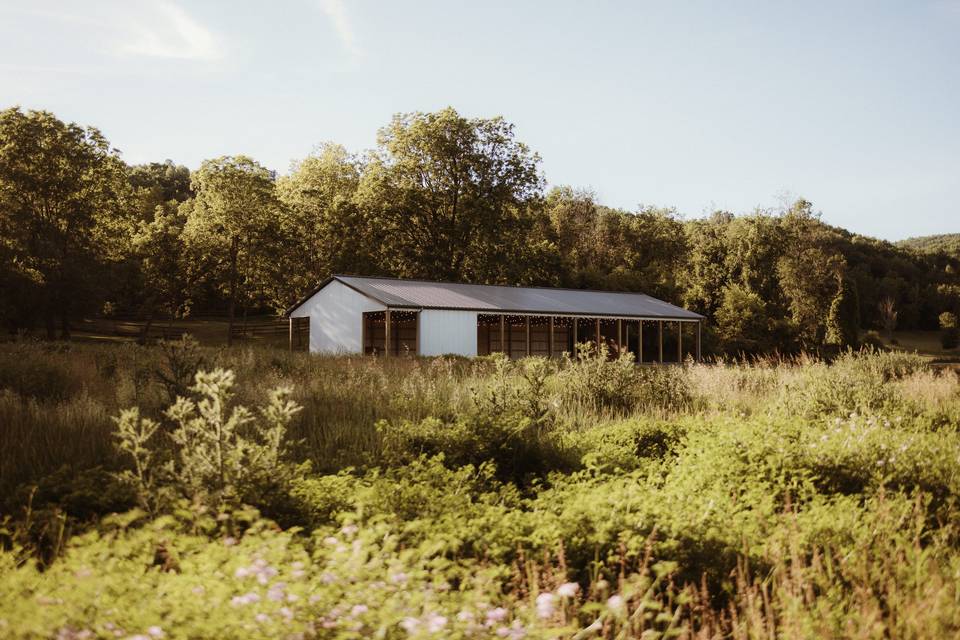 Reception Pavilion