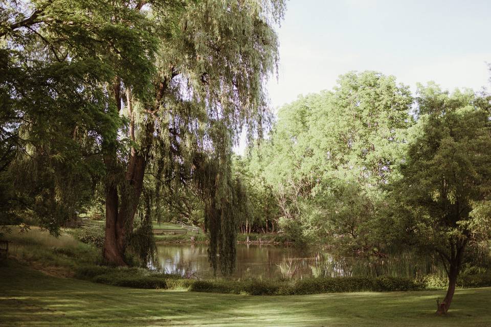 Overlooking The Pond