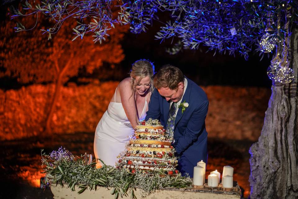 Wedding cake cut