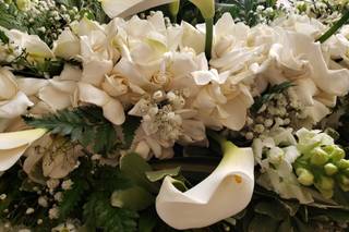 GREEN THUMB FLOWERS 1