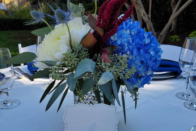 Burgandy white and blue