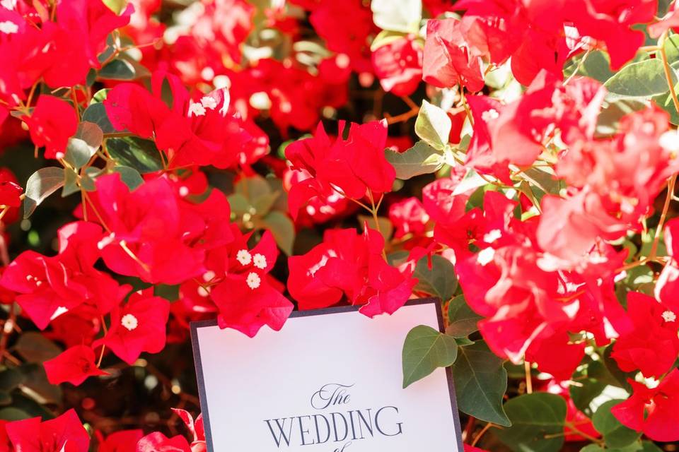 Wedding photography
