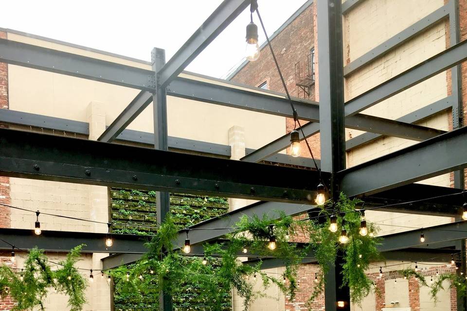 LIVING GREEN WALL