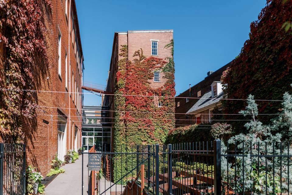October Foliage