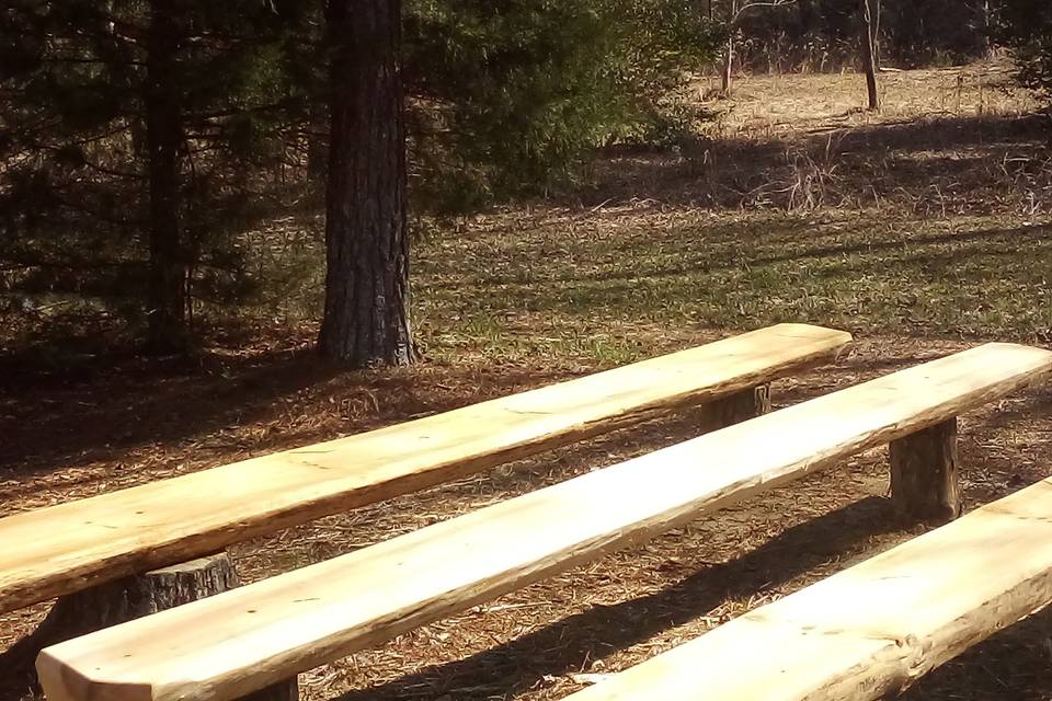 Outdoor pews from our trees