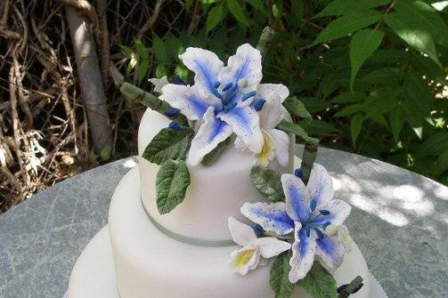 Blue star gasier Sugar Flowers by Donna Joy