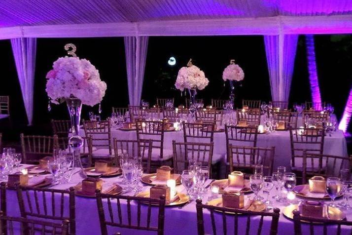 Luxe Event Design