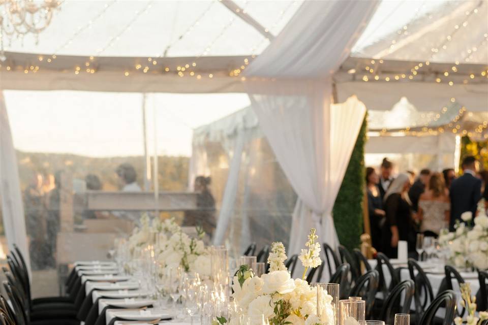 Immaculate high end reception