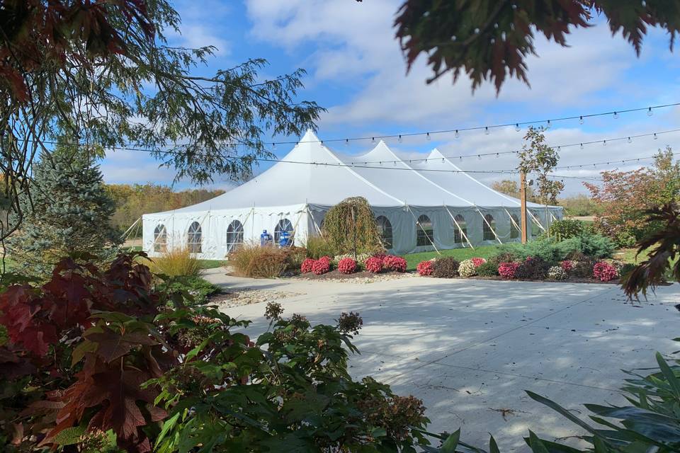Tent and Patio, Fall