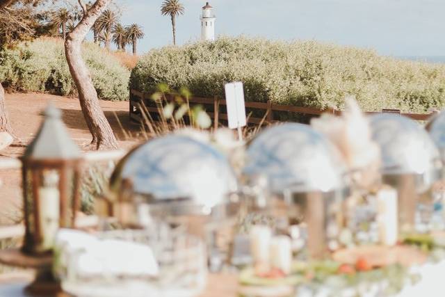 Ally & Stevens Wedding