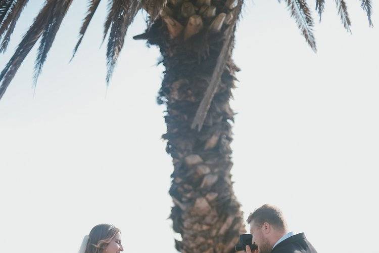 Ally & Stevens Wedding