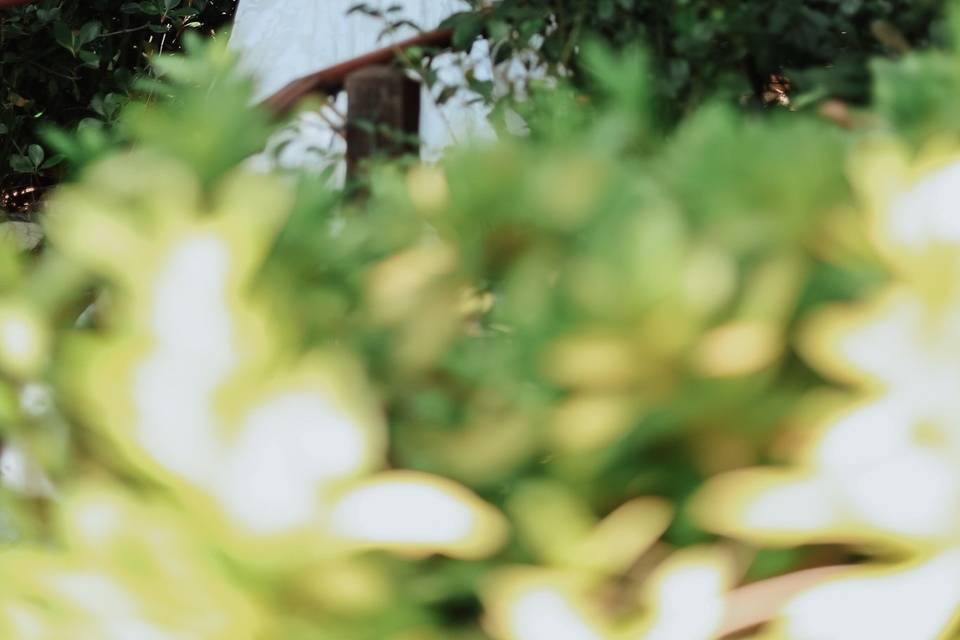 Kat & Megans Wedding