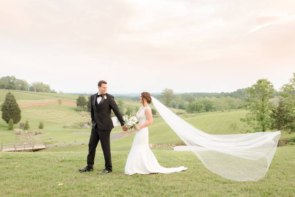 Vineyard wedding in Virginia