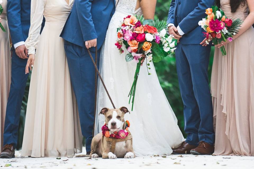 Wedding In Key Largo