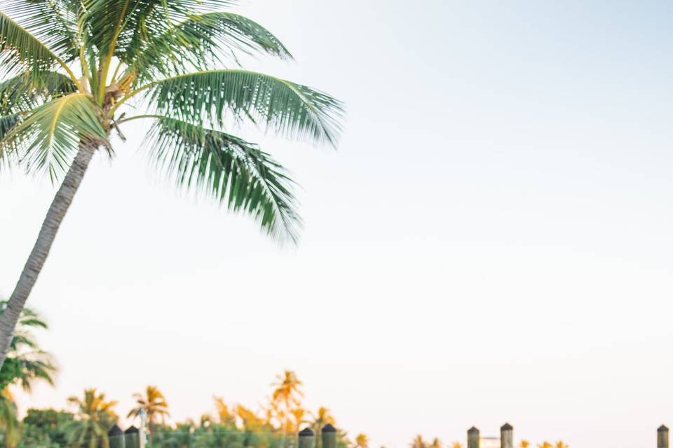 Islamorada Beach House Wedding