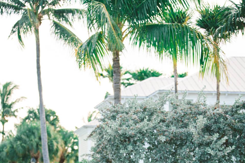 Sunset Key West Wedding