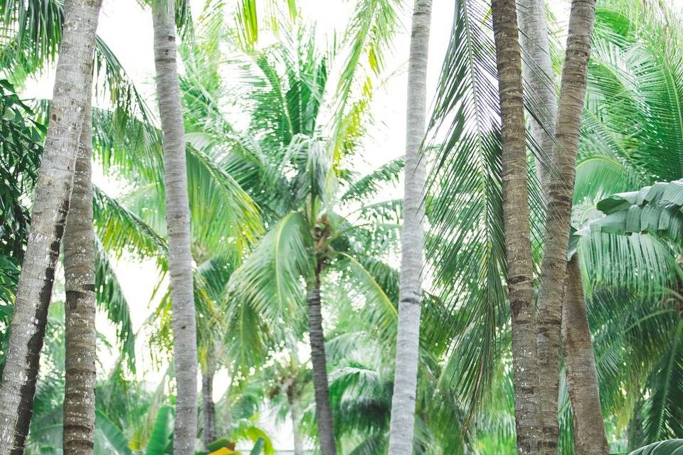 Cheeca Lodge & Spa Wedding